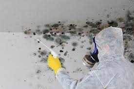 Best Water Damage & Mold Remediation  in Dublin, OH